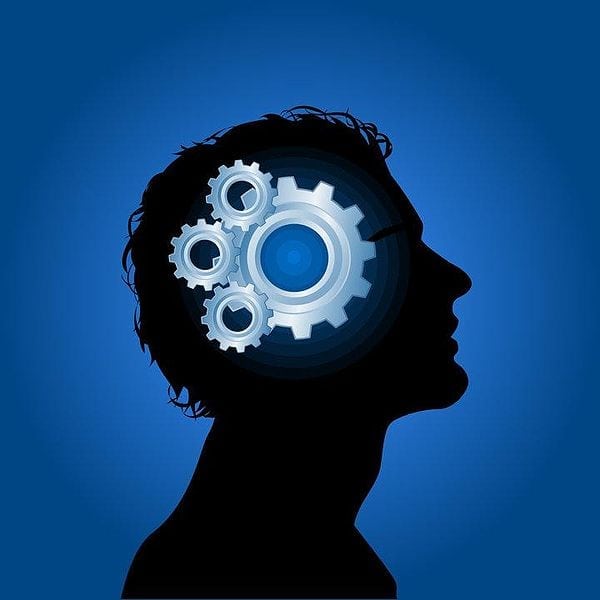 Brain-gears