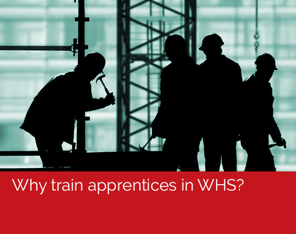 Why train apprentices in WHS graphic