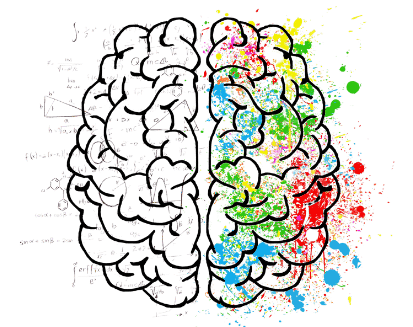 Brain
