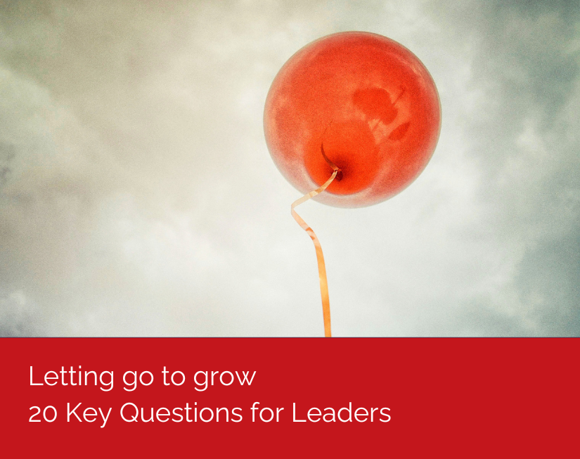 Key Questions for Leaders