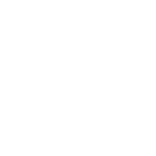 Embedding icon