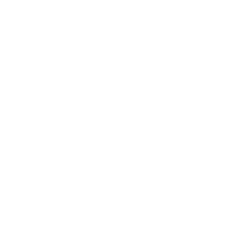 Training icon