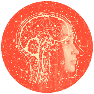 Brain story telling